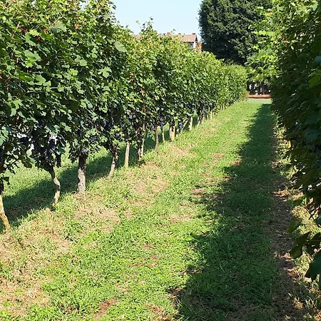 Cascina Colombo